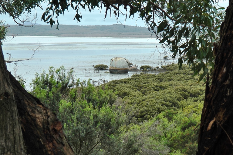 Mangrovens&uuml;mpfe bei Millers Landing